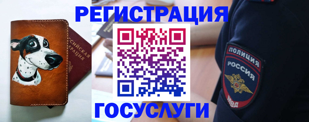 временная регистрация в квартире в Александровске-Сахалинском